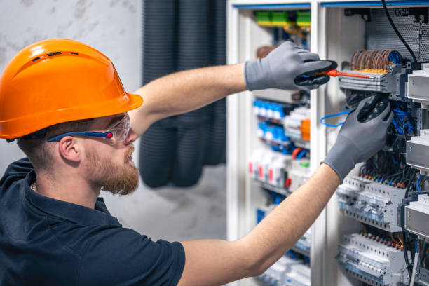 Best Electric Panel Repair  in Anchor Point, AK